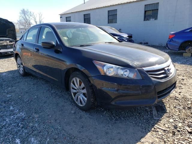 2011 Honda Accord EXL