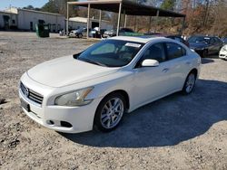 Run And Drives Cars for sale at auction: 2013 Nissan Maxima S