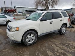 Salvage cars for sale at Albuquerque, NM auction: 2011 Ford Escape XLT