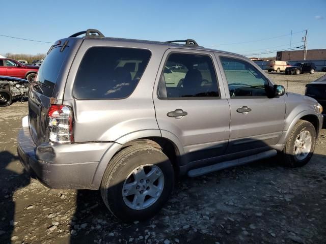 2007 Ford Escape XLT