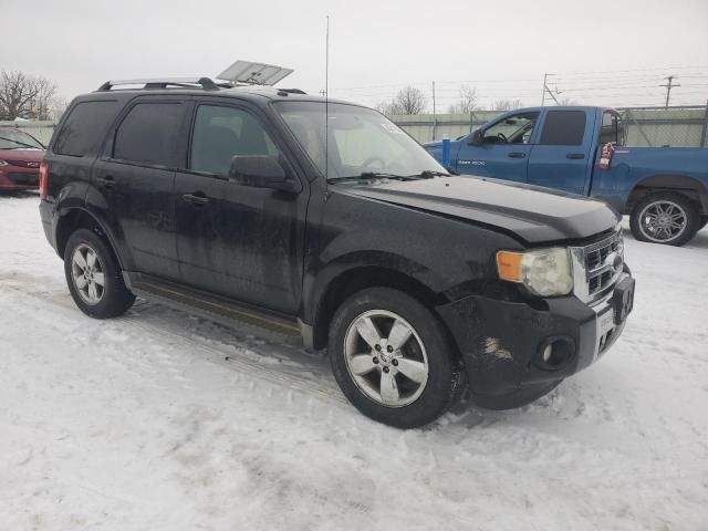 2010 Ford Escape Limited