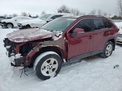 Vehiculos salvage en venta de Copart London, ON: 2024 Toyota Rav4 XLE