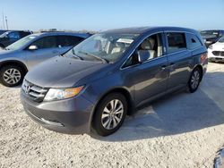 Flood-damaged cars for sale at auction: 2014 Honda Odyssey EXL