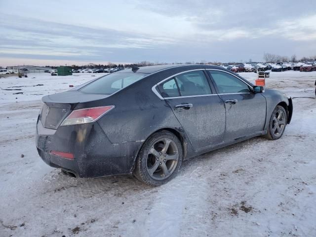 2010 Acura TL