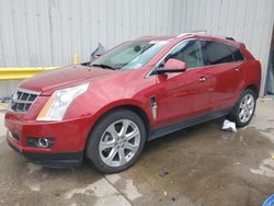 Salvage cars for sale at New Orleans, LA auction: 2010 Cadillac SRX Performance Collection