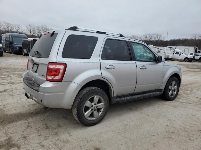 2010 Ford Escape Limited