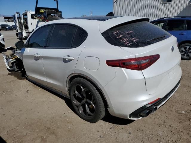 2019 Alfa Romeo Stelvio Quadrifoglio