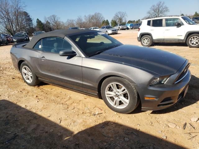 2013 Ford Mustang