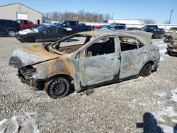 Salvage cars for sale at Lawrenceburg, KY auction: 2014 Toyota Corolla L