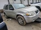 2005 Ford Escape Limited