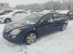 Chevrolet Vehiculos salvage en venta: 2009 Chevrolet Malibu LS