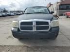 2005 Dodge Dakota Quad SLT