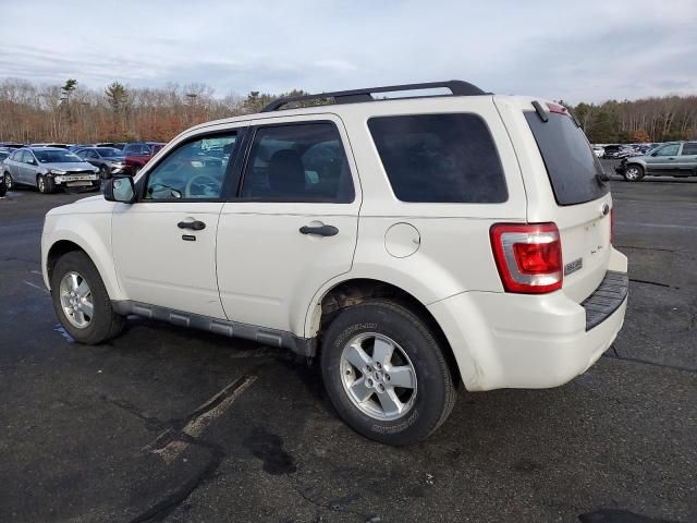 2009 Ford Escape XLT