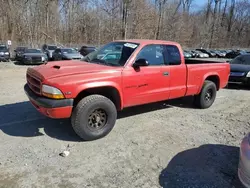 Dodge salvage cars for sale: 2000 Dodge Dakota