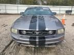 2006 Ford Mustang