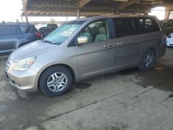 Salvage cars for sale from Copart American Canyon, CA: 2006 Honda Odyssey EXL