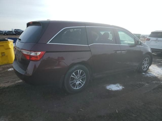 2011 Honda Odyssey EXL