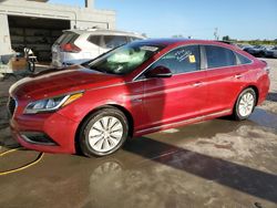 Salvage cars for sale at West Palm Beach, FL auction: 2016 Hyundai Sonata Hybrid