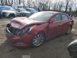 Hyundai salvage cars for sale: 2014 Hyundai Sonata SE