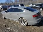 2020 Audi S5 Premium Plus