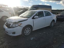 Salvage cars for sale at auction: 2010 Toyota Corolla Base