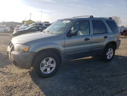 SUV salvage a la venta en subasta: 2006 Ford Escape XLT