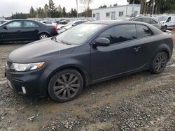 Salvage cars for sale at Graham, WA auction: 2012 KIA Forte SX