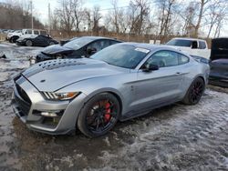 Salvage cars for sale at Marlboro, NY auction: 2020 Ford Mustang Shelby GT500