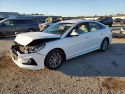 Salvage cars for sale at auction: 2019 Hyundai Sonata SE