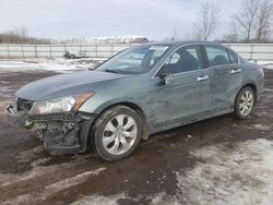 Salvage Cars with No Bids Yet For Sale at auction: 2008 Honda Accord EXL