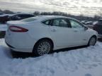 2014 Ford Fusion SE Hybrid