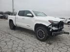 2024 Toyota Tacoma Double Cab