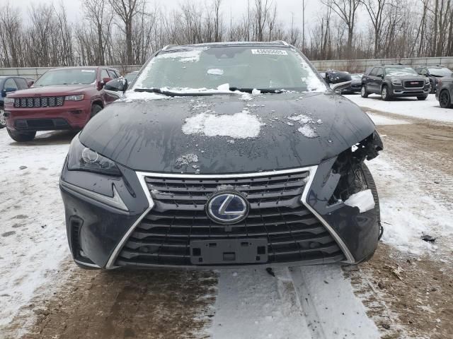 2020 Lexus NX 300H