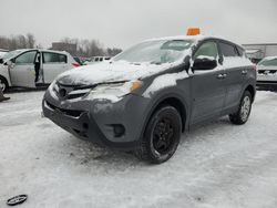 Salvage cars for sale at New Britain, CT auction: 2015 Toyota Rav4 LE