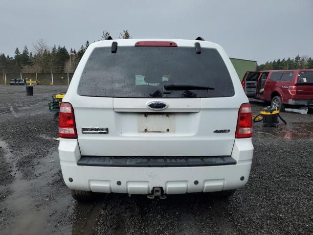 2008 Ford Escape Limited