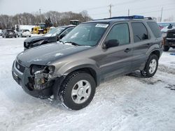 2003 Ford Escape XLT en venta en Ham Lake, MN