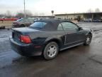 2000 Ford Mustang