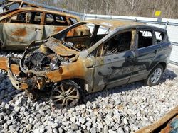 Salvage cars for sale at Hurricane, WV auction: 2017 Ford Escape SE