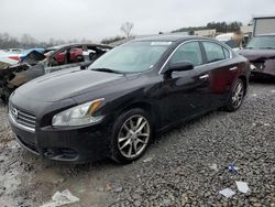 Carros salvage a la venta en subasta: 2010 Nissan Maxima S