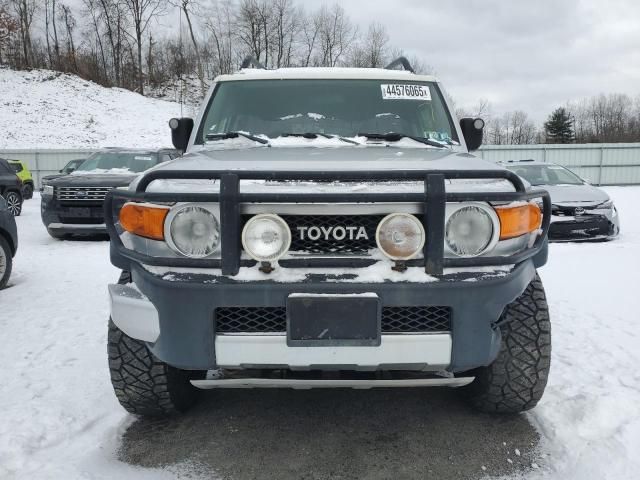 2007 Toyota FJ Cruiser