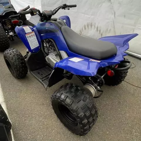 2024 Yamaha YFM01