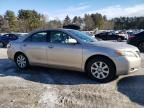 2007 Toyota Camry Hybrid