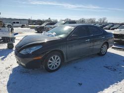 Lexus Vehiculos salvage en venta: 2003 Lexus ES 300