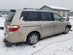 2005 Honda Odyssey EXL