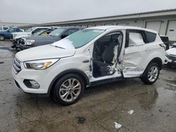 Salvage cars for sale at Louisville, KY auction: 2017 Ford Escape SE