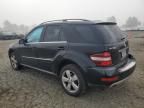 2010 Mercedes-Benz ML 350