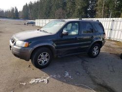 Lots with Bids for sale at auction: 2003 Ford Escape XLT