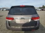 2017 Honda Odyssey EXL