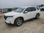 2025 Honda Pilot EXL