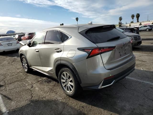 2019 Lexus NX 300H